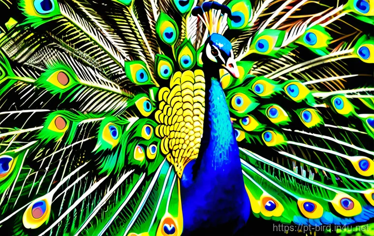 공작새의 깃털 관리 - Here are three detailed image prompts in English, ensuring all guidelines are strictly followed: