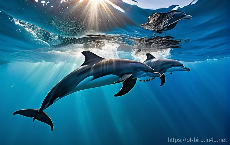 까치의 지능 실험 - **Magpie's Moment of Self-Discovery:** A close-up, highly detailed shot of a Eurasian magpie looking...