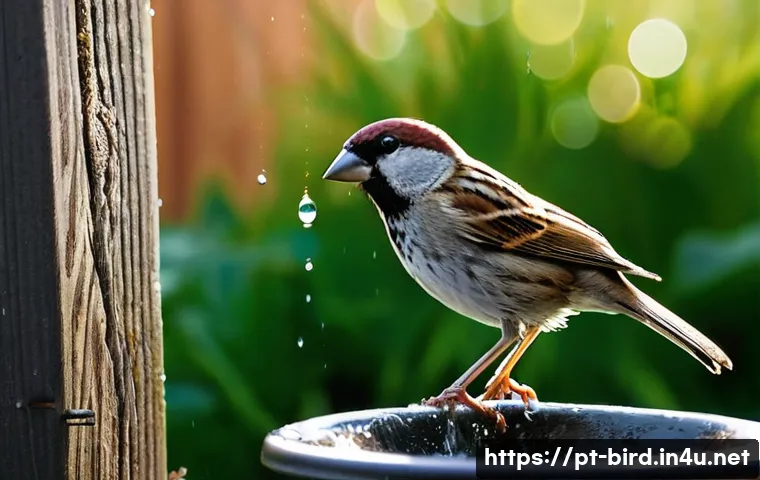 직박구리의 먹이 사슬 관련 이미지 2