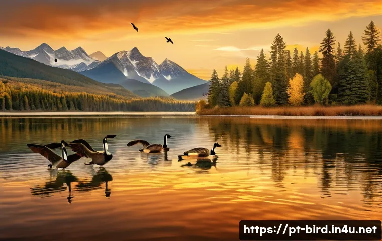 고니의 울음소리 연구 - A vivid scene of a flock of Canada geese flying in a perfect V-formation over a serene lake at sunse...